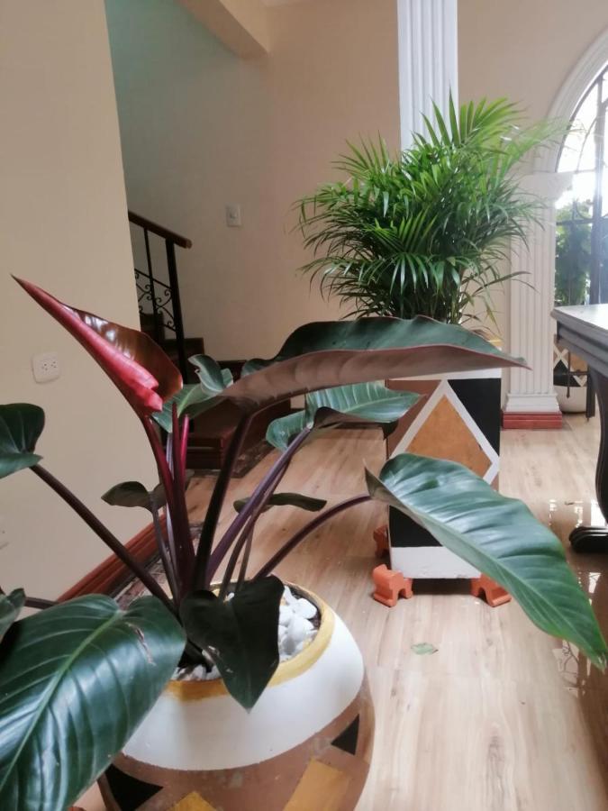 Hotel Castillo Real Popayan Ngoại thất bức ảnh